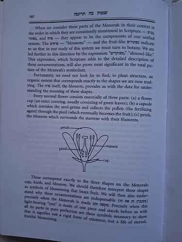 22817